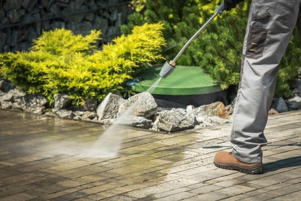 Best Rust Removal  in Eagle Grove, IA