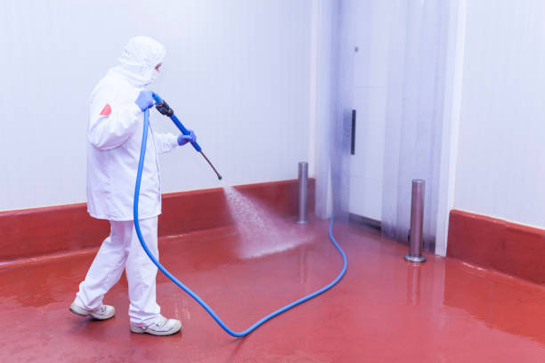 Best Boat and Dock Cleaning  in Eagle Grove, IA