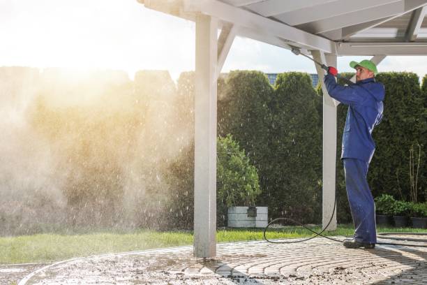 Best Animal Enclosure Cleaning  in Eagle Grove, IA